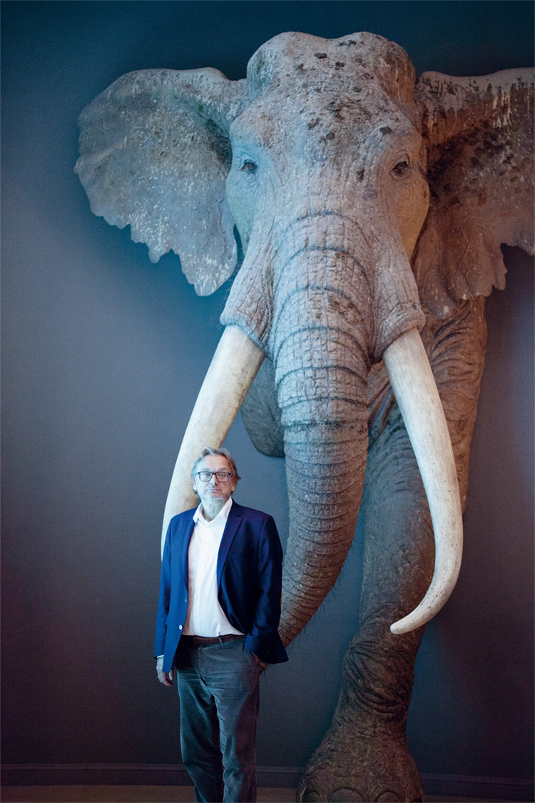 Das Bild zeigt Prof. Dr. Harald Meller neben einem Elefantenkopf.