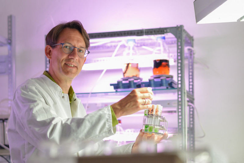 Das Bild zeigt Timo Niedermeyer von der der Uni-Halle im Labor.