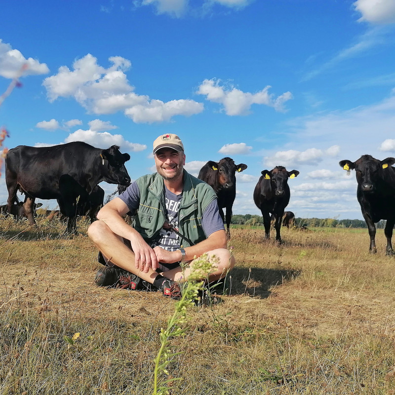 Ronald Haake, Wagyu Rinderzucht