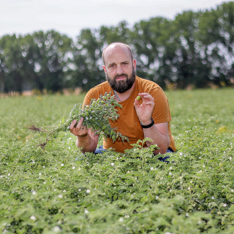 Das Bild zeigt Landwirt Jonas Schulze Niehoff in seinem Kichererbsen-Feld.