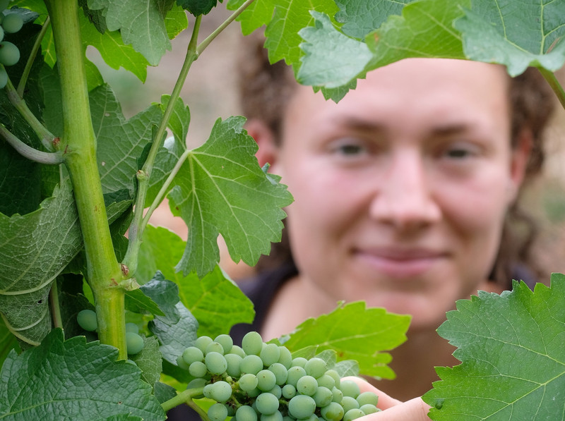 Das Bild zeigt Lydia Hohlstein von der Landgesellschaft Sachsen-Anhalt bei den Weinreben.