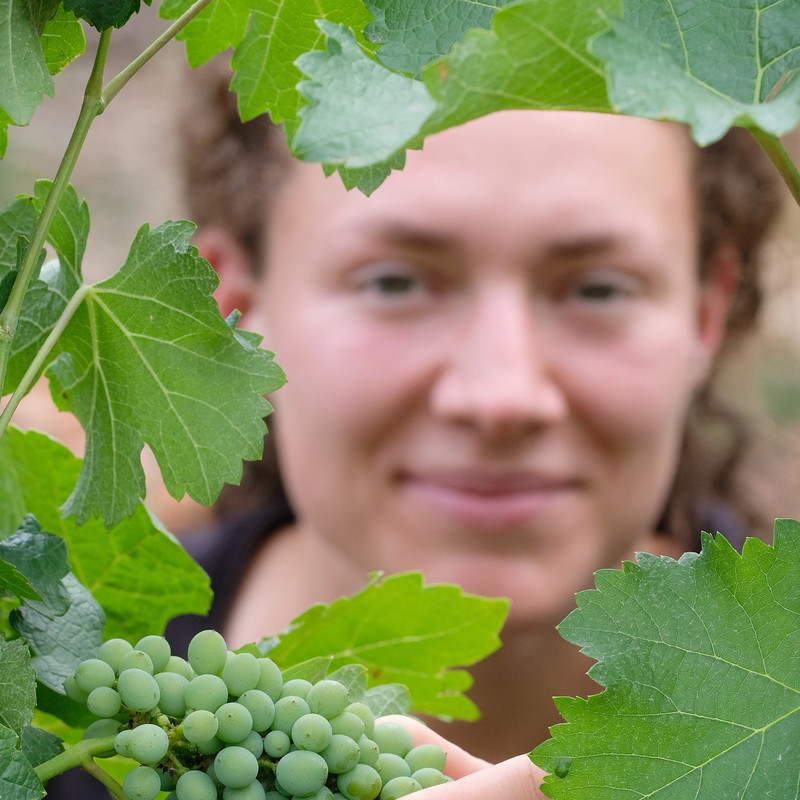 Das Bild zeigt Lydia Hohlstein von der Landgesellschaft Sachsen-Anhalt bei den Weinreben.