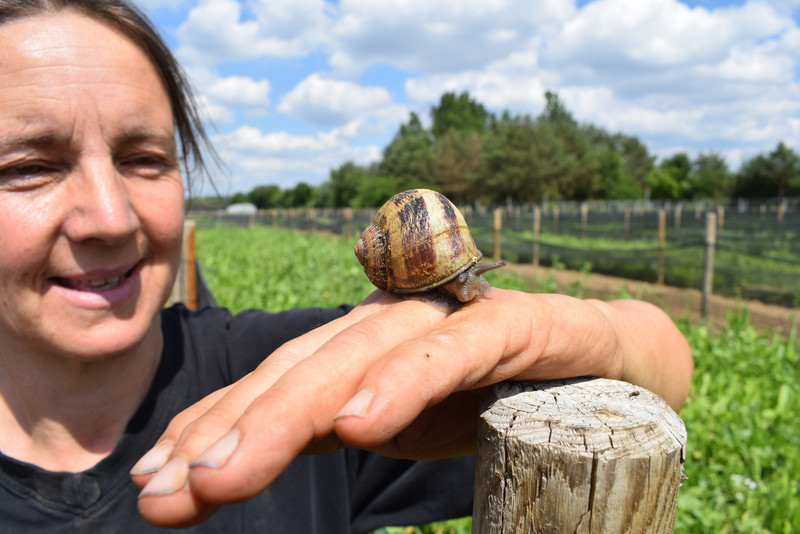 Das Bild zeigt Carmen Kalkofen mit einer Schnecke auf der Hand.