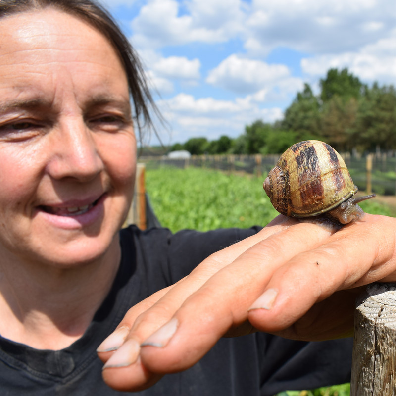 Das Bild zeigt Carmen Kalkofen mit einer Schnecke auf der Hand.