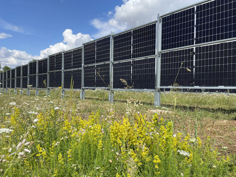 Das Bild zeigt senkrecht angebrachte Photovoltaikmodule der Hochschule Anhalt in Bernburg.