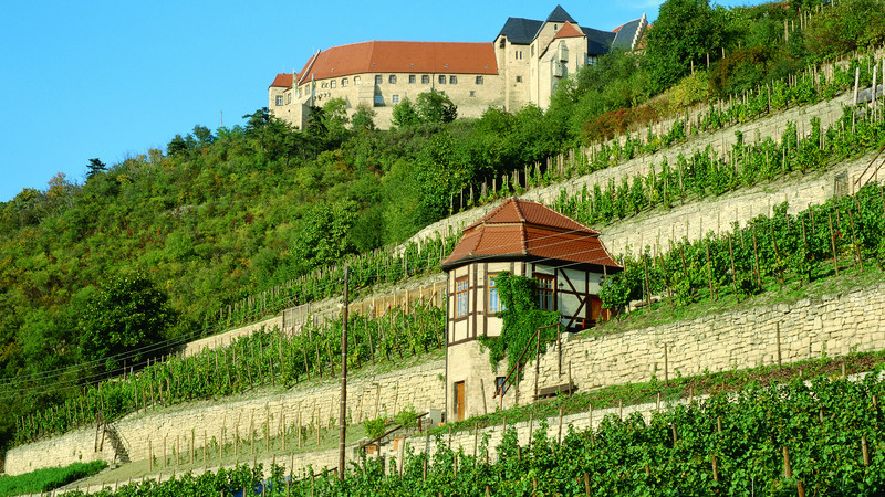 Das Bild zeigt das Weinbaugebiet Saale-Unstrut.